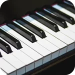 Real Piano 8