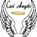 Trivia casi angels 9