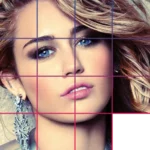 Miley Cyrus Slide Puzzle Game 8