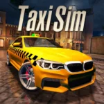 Taxi Sim 2020 2