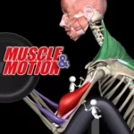 Strength by Muscle and Motion 2.6.6 6