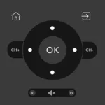 Remote for Android TV's / Devices: CodeMatics 1.17 6