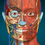 Anatomy Learning - 3D Anatomy 2.1.351 1