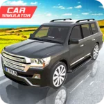 Offroad Cruiser Simulator 1.25 1