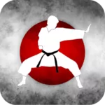 Karate Training 1.66.0 3