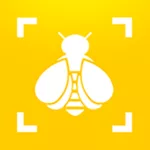 Bumble Bee Watch 1.1.0 2