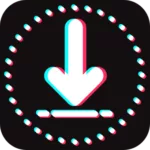 Video Downloader for TikTok - without Watermark 1.6 9