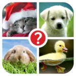 Guess the word ~ 4 Pics 1 Word 12.0.1 4