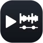 Video Replace Mix Remove Audio 1.3 9
