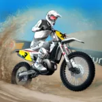 Mad Skills Motocross 3 1.6.6 7