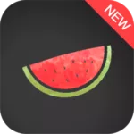 Melon VPN 5.6.134 1