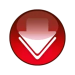 Video Downloader 1.8.9 47