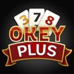 Okey Plus 7.8.5 3