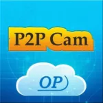 P2PIPCAM 31.0 4