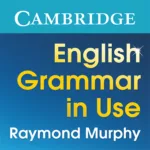 English Grammar in Use 1.11.40 9