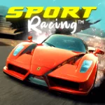 Sport Racing 0.71 276