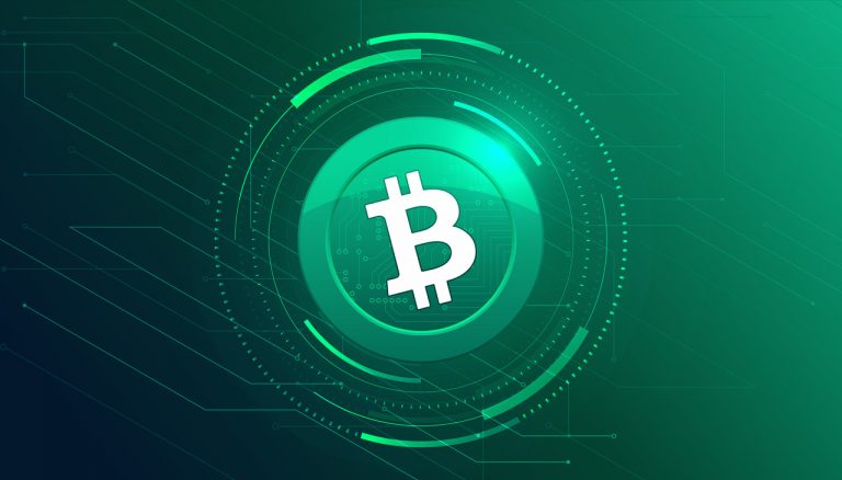 Can BCH prove to be a good investment?